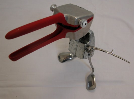 King or Queen of birds King or Queen of birds