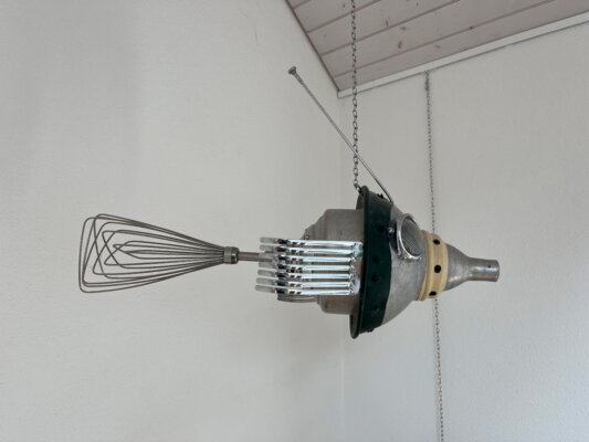 Flying fishes Flying fishes